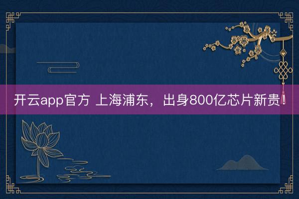 开云app官方 上海浦东，出身800亿芯片新贵！